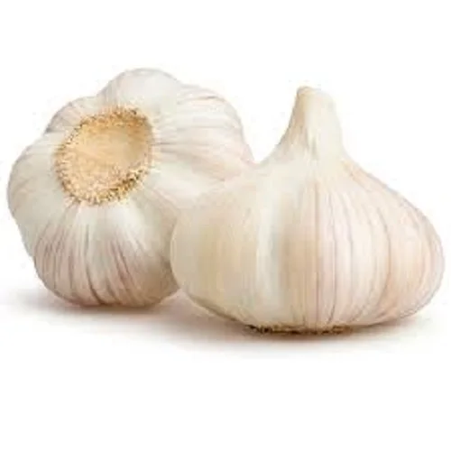 Hiigh Quality Healthy Fresh Garlic 100% Organic at Low Wholesale Price