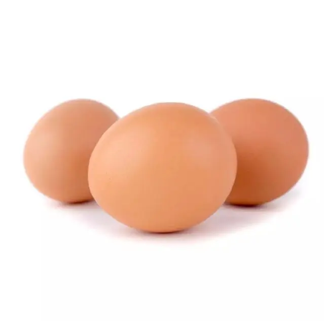 Hot Sale Chicken Eggs Ostrich Eggs, Chicken Eggs, Turkey Eggs Fresh Table Eggs Brown And White Farm F