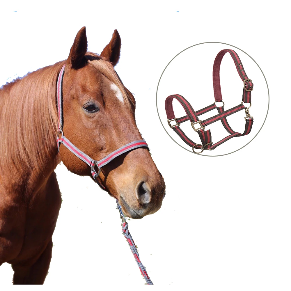 Fully Adjustable Horse Halter with Matching Lead Set Also Available are Saddle Pad with low minimum order quantity and latest