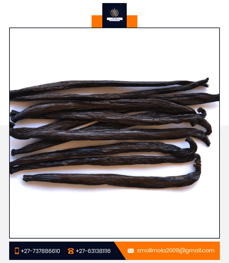 Bulk Supply Wholesale Vanilla Beans Premium Quality Dried Oily Vanilla Planifolia Pods Whole Vanilla Beans for Spice