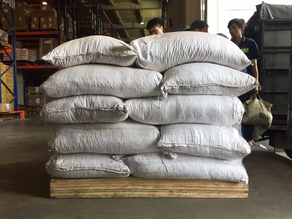 Premium Dried Lotus Seeds Bulk Packaging Available for International Markets and Food Manufacturers