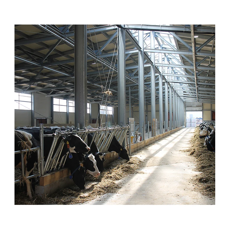 Prefabricated steel structure pig shed cow house I beam steel frame easy build sail cow housing for sale