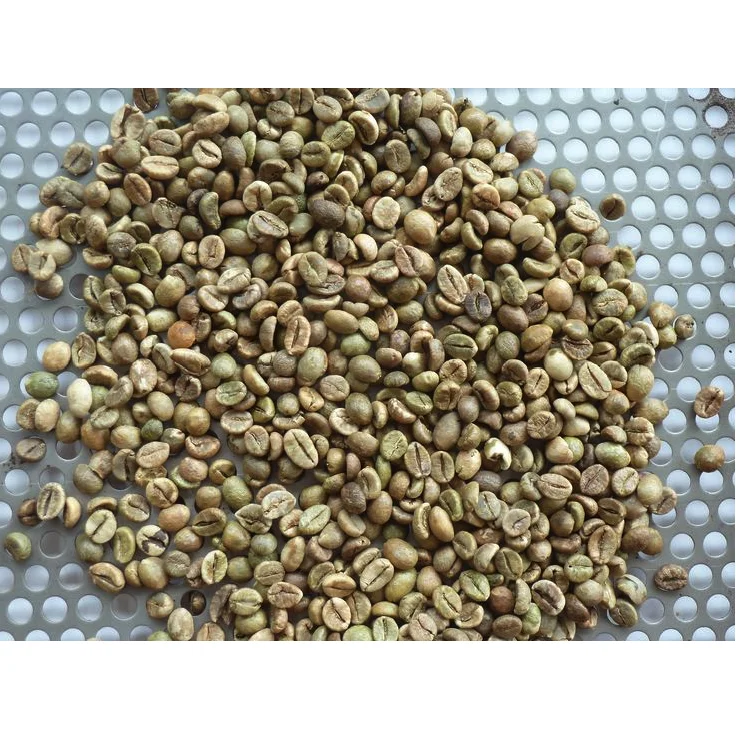 Highest Grade New Crop Harvest Vietnam Certificated Product Organic Clean Natural Robusta Screen 18 Coffee