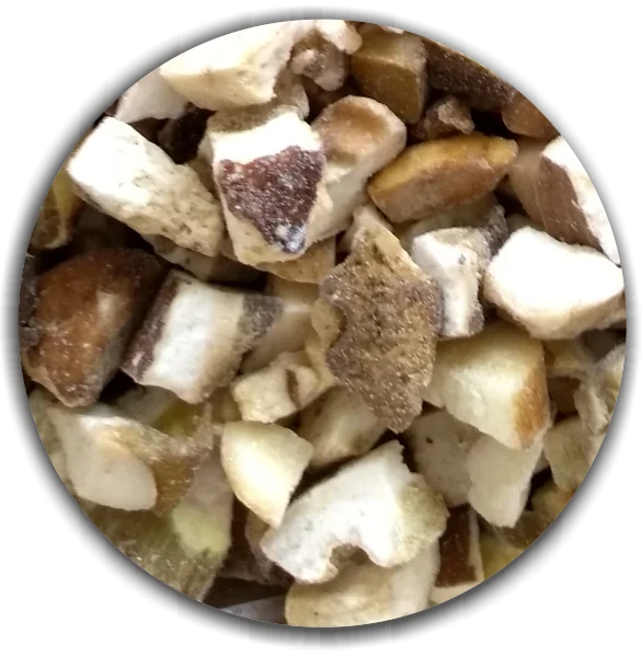 Frozen Boletus edulis (Cepas, Porcini, Steinpilze) cubes first grade. Best price on the market!
