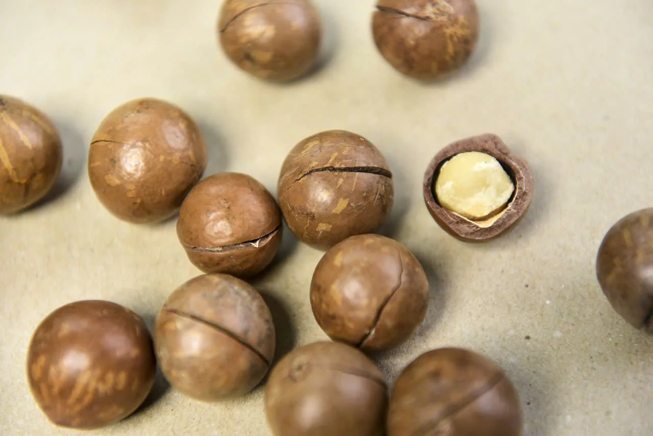 Вкусные хрустящие жареные орехи макадамия во Вьетнаме 100% сушеные закуски с натуральным вкусом готовые к употреблению