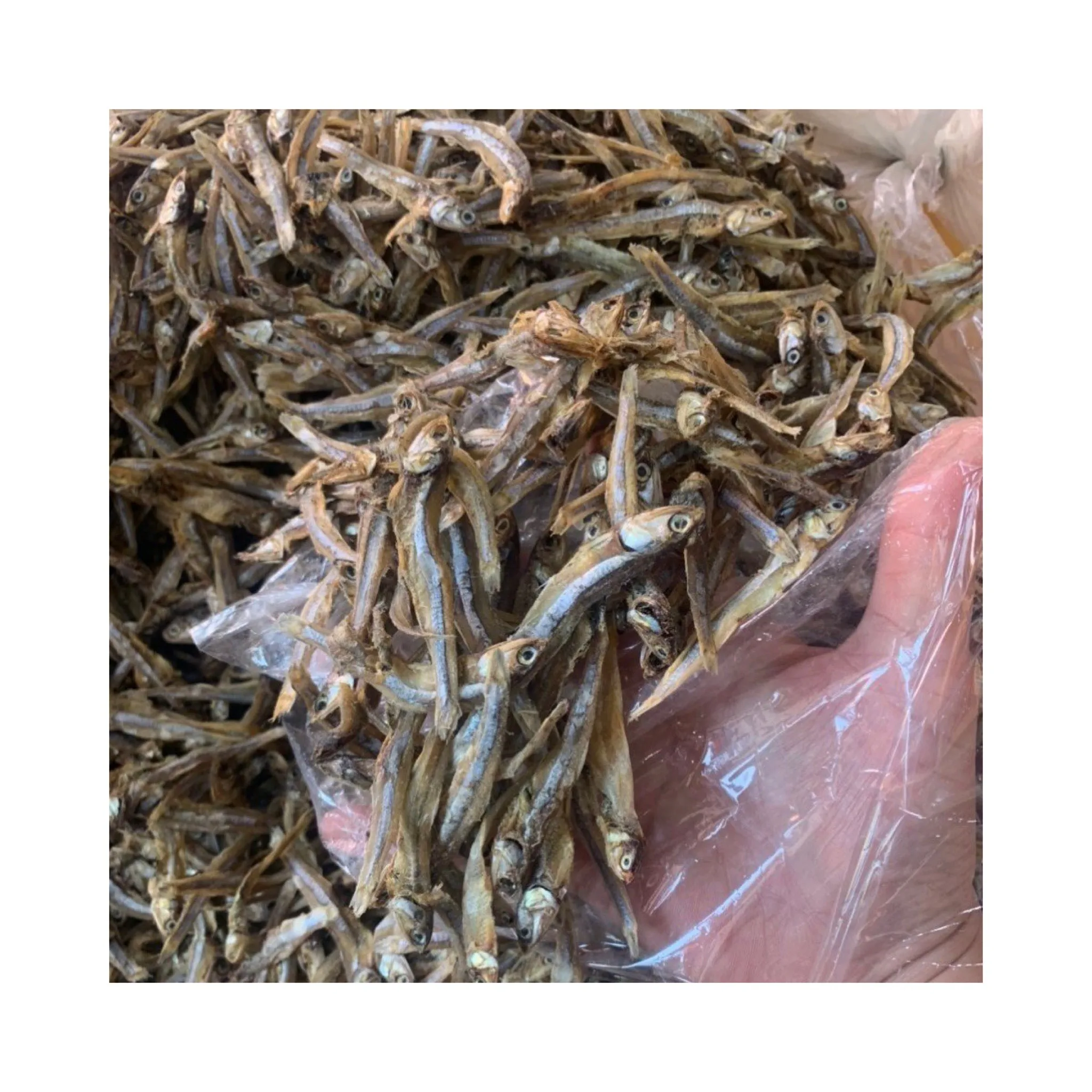 Cheap Seafood Dried Anchovy for Sale | Freshly Dried Anchovies Exporters From Vietnam Ms Elysia WA 0084789310321