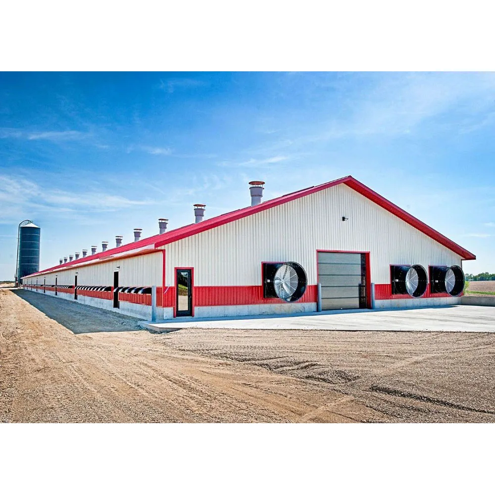 cheap layers cage 1000 chickens poultry farm house broiler chicken house poultry farm design