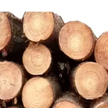 White Bilinga Wood Round Logs For Sale| Timber wood for sale