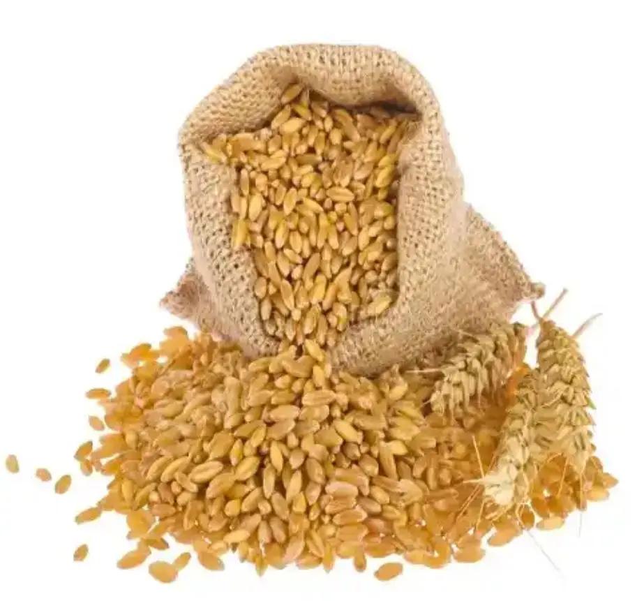 High Quality Flour Wholesale Product - White Color / Whole Wheat Gluten Soft Wheat Flour White