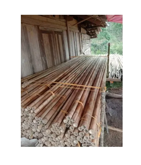 Supplier Bamboo Pole 1- 6m Customized Size Cheap Price On Bulk - Natural Bamboo Poles/Stakes Export Worldwide