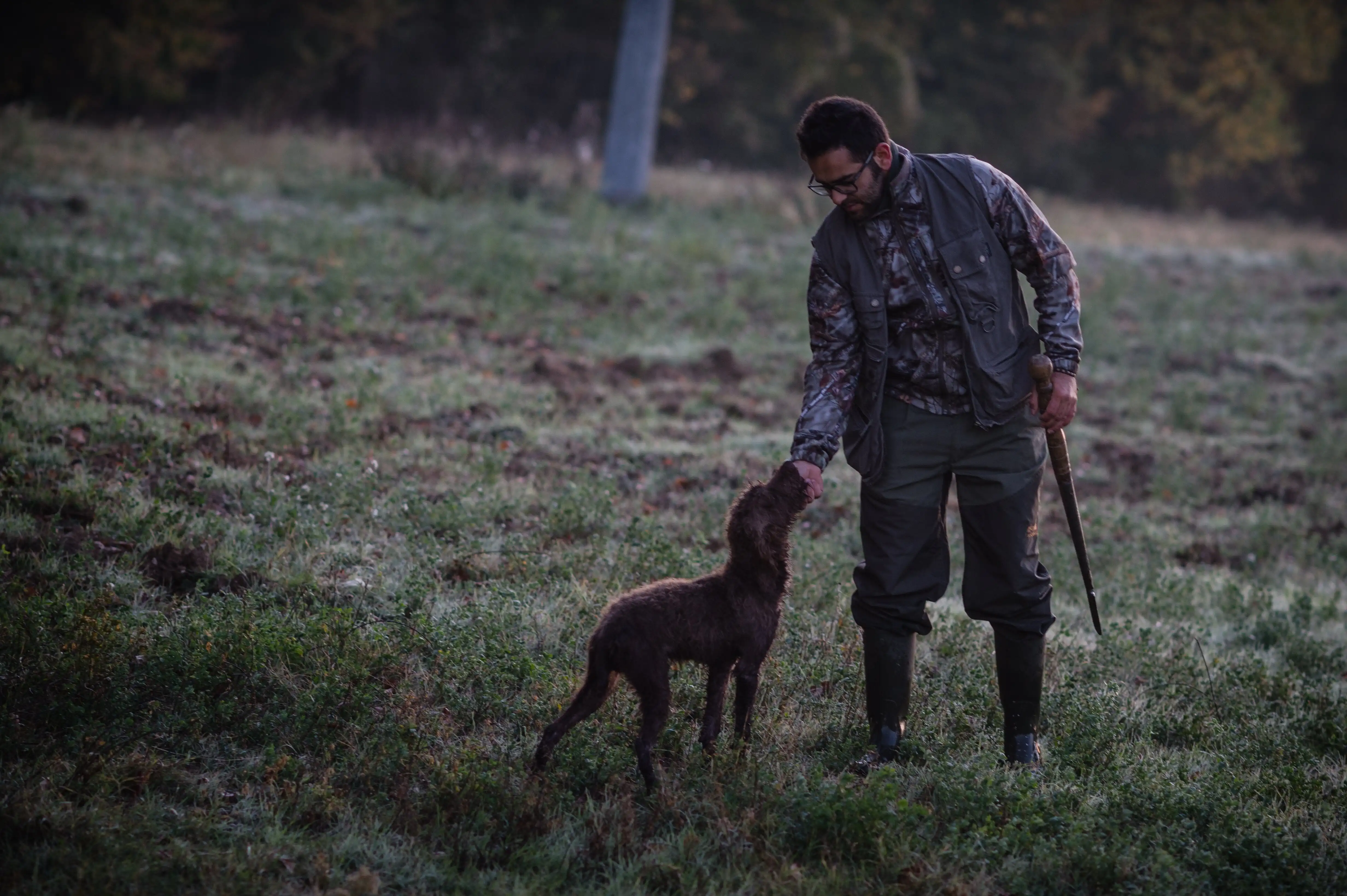 Luxury Natural Black Truffle Olive Oil 500 ml Bottle with Glass Packaging Made in Italy for Enriching Your Dishes Wholesale