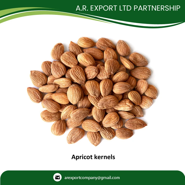 Сертифицированное качество оптовая продажа сушеные ядра абрикоса по лучшей цене доступны в экспортной качественной