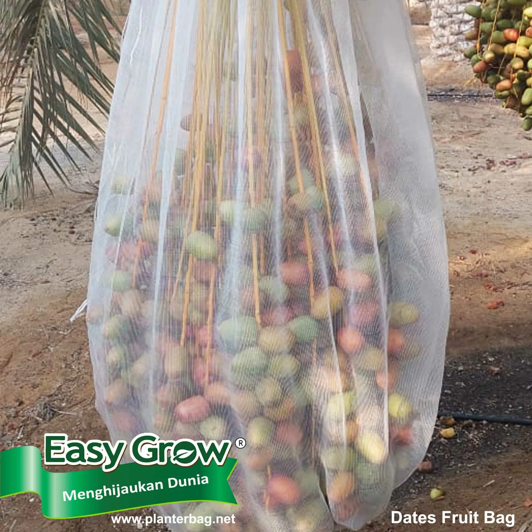 Dates Fruit Bag Fruits cover Good Quality PP Non Woven fabric Anti UV additives Protect plants customized fruit cover net