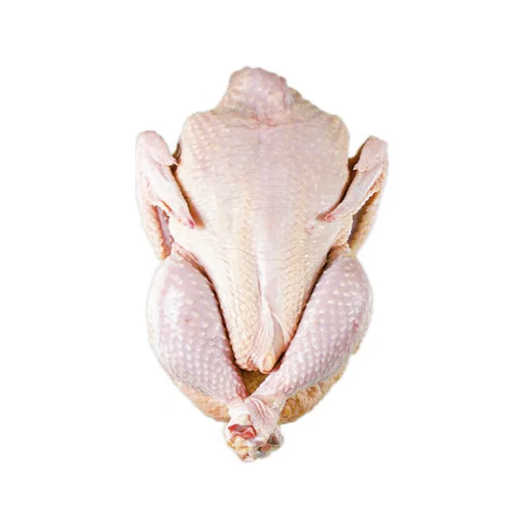 Lowest Price Frozen Whole Chicken Premium Quality Bulk Quantity For Exports From Europe