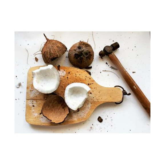 Pure Organic full and semi husked Coconut/Fresh Tender Coconut OEM supply and ready for market High Quality 4 Weeks Use Fresh Se