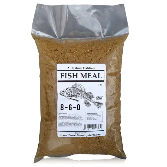 High protein Fish meal Supplier