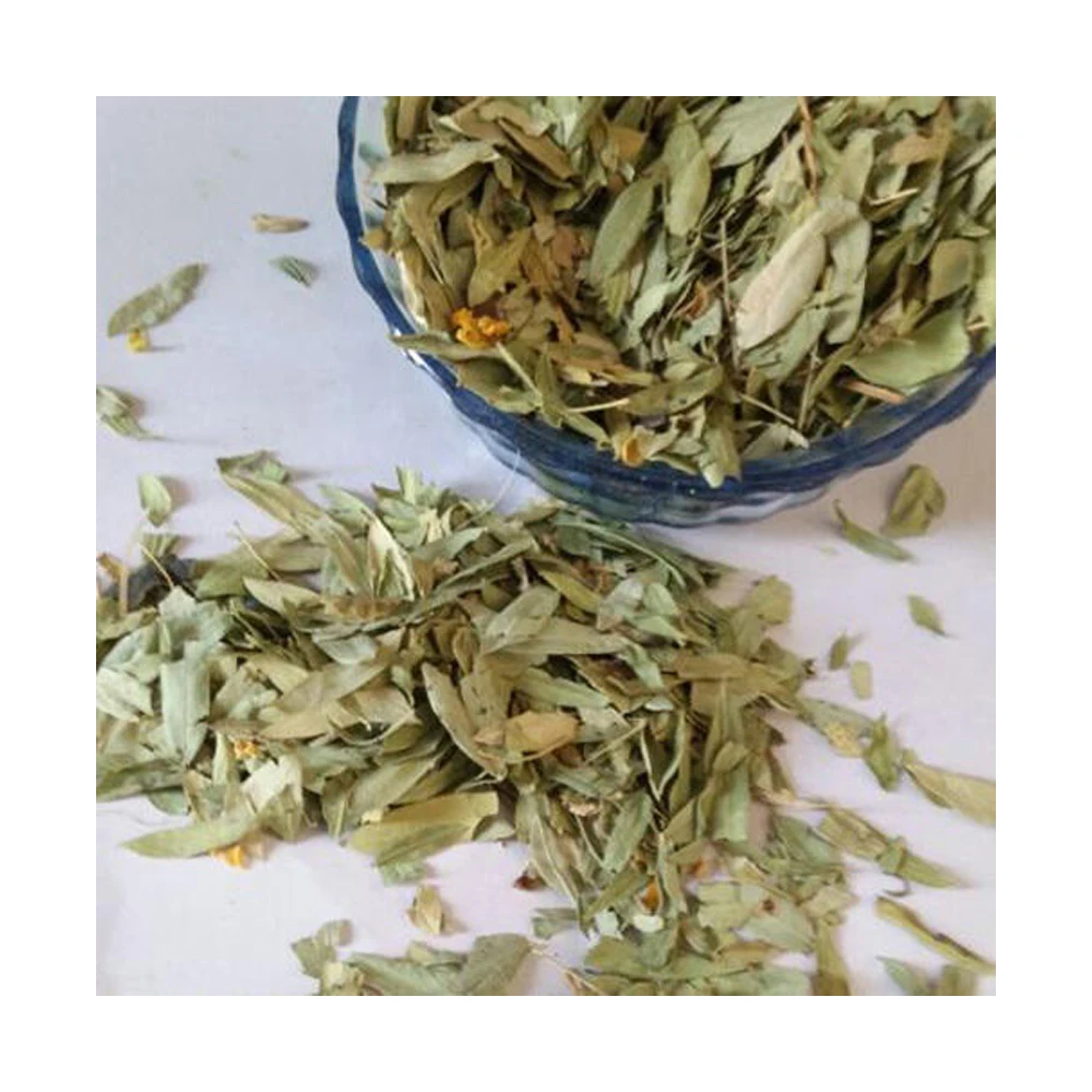 High quality Senna Leaves  Bulk Supply