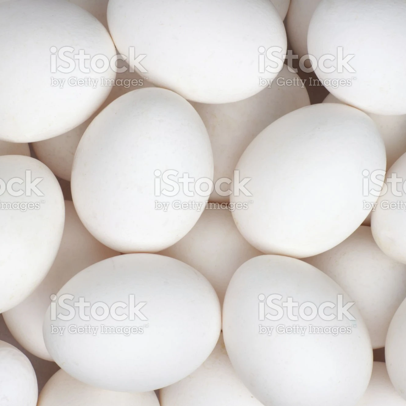 Fresh Eggs