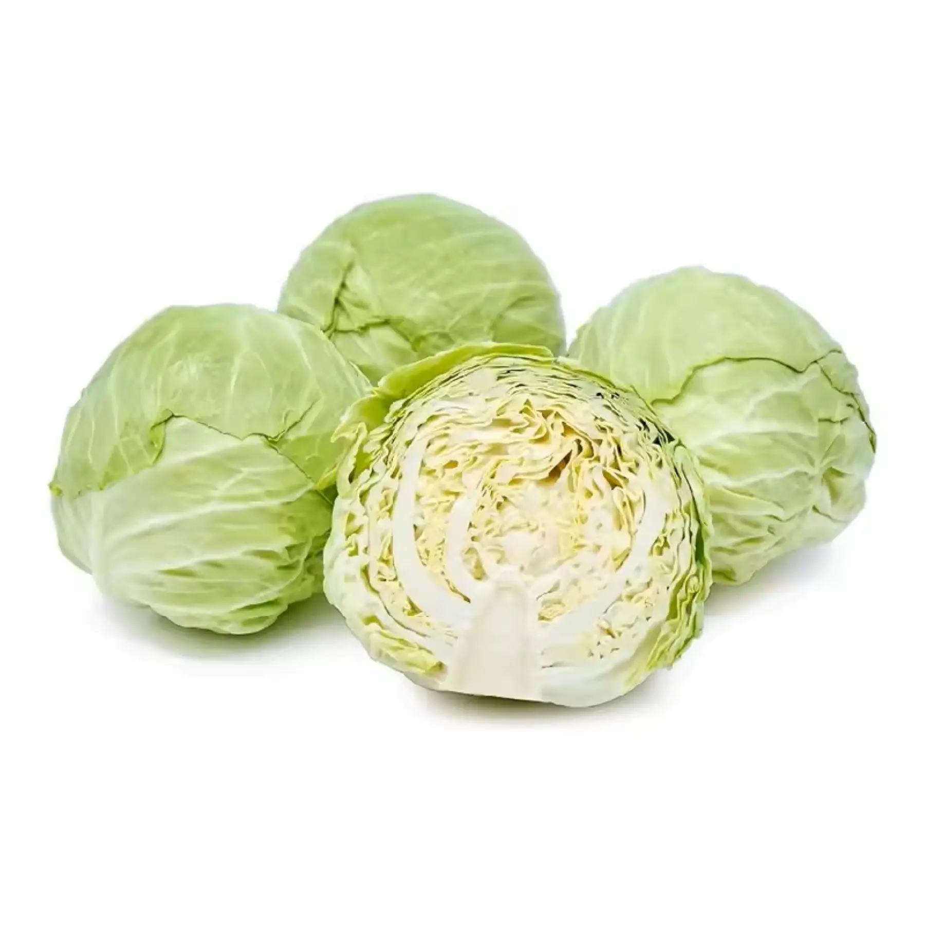 Factory supply new crop of fresh vegetables fresh round and flat cabbages for sale