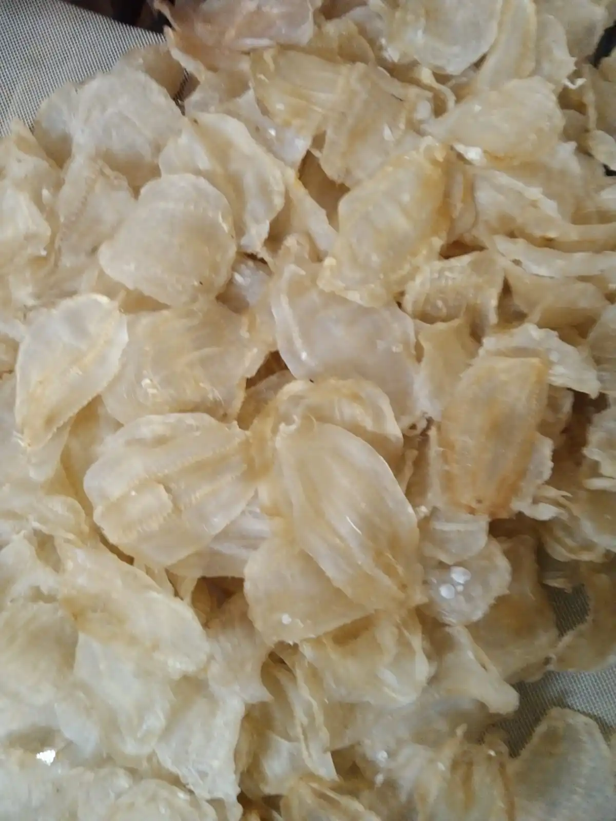 yellow fish maw Jew Fish Maw Datina fish maw soup tonic Factory wholesale Suriname Seafood Dried Goods from Bangladesh sea