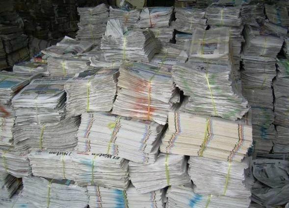 BEST SALE FROM FACTORY FOR LOWEST PRICE AND HIGH QUALITY NEW CROP BLACK PEPPER 550GL