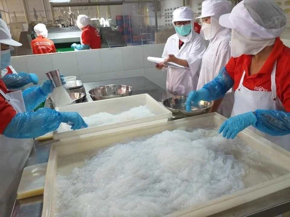 OEM Coconut water vermicelli no flour no fat no sugar clean  keto can eat Plant-based Vegetarian diet