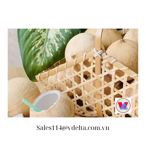 CLEAN FRESH COCONUT /THE BEST PRODUCT COCONUT//PUREST COCONUT WATER