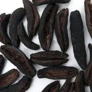 Sea Cucumber Pattallus Mollis From Peru