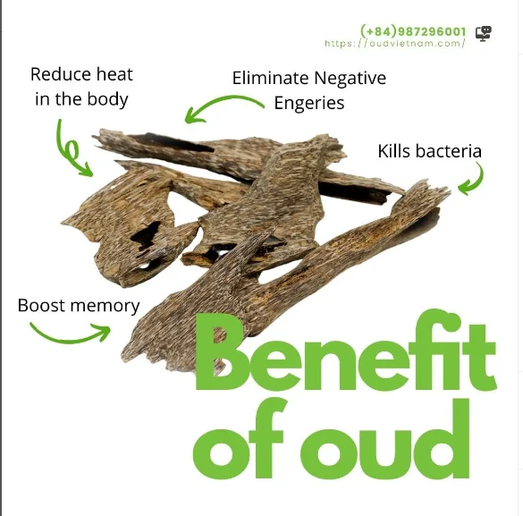 TOP The Best Cheapest Natural Ant Wood Oud Super Special Oud Sweet Luxurior Smell from PURE OUD WOOD