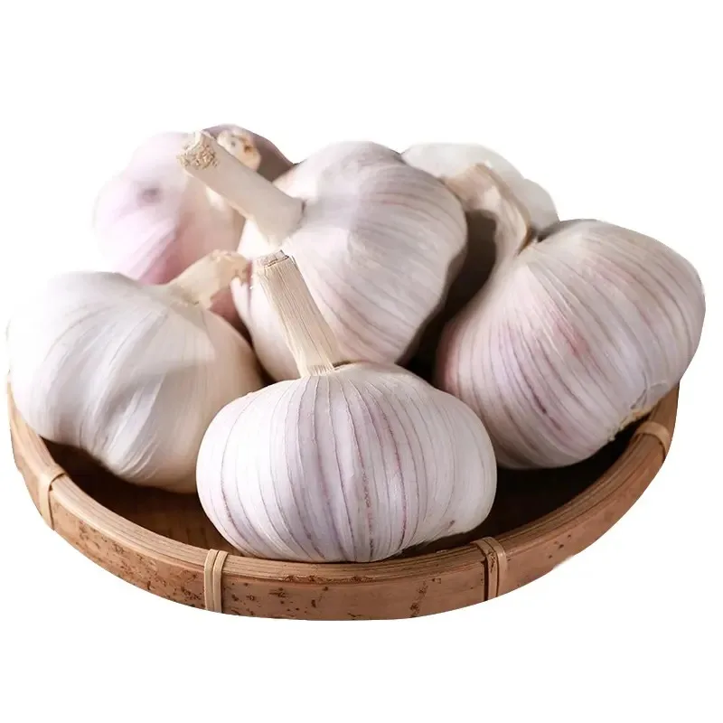 Свежий белый чеснок европейского происхождения, 5,5 см, 6,0 см, свежий чеснок, оптовая продажа, 10 кг, чеснок в коробке
