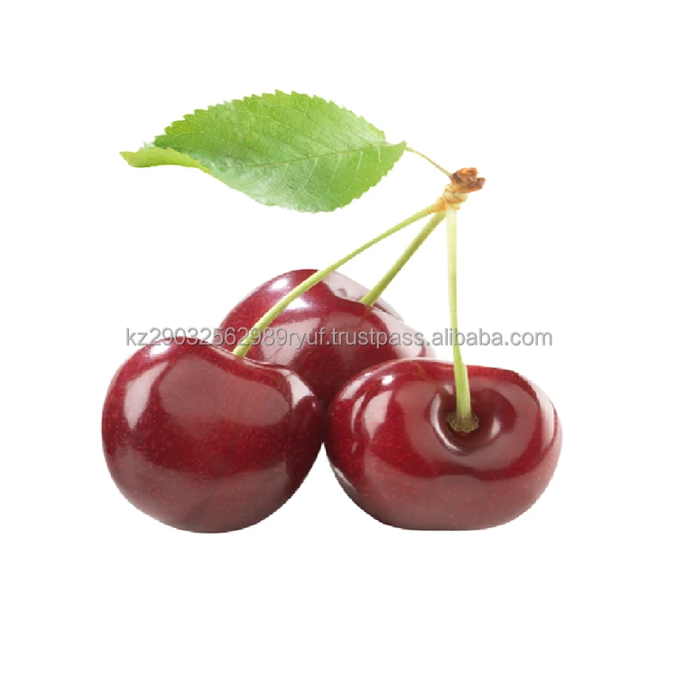 Sweet cherry grade BAHOR Color: Dark red Weight: Up to 7 g. Pulp: Juicy dense wholesale low price
