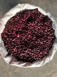 Red kidney Beans | Where to buy Red kidney beans in large quantity online