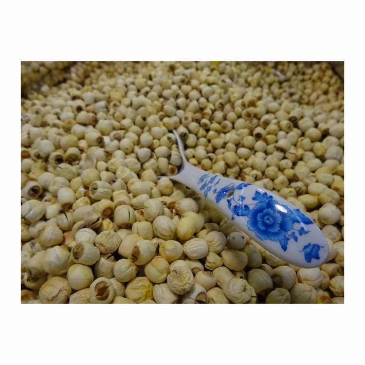 Popular Natural Dried White Lotus Seeds Edible Zero Additives Lotus Flower Seed Lian Zi for Cooking Soup Dessert
