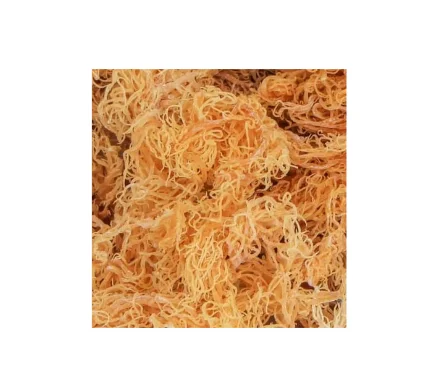 Natural Dried Irish Moss / Cottonii Seaweed / Eucheuma Cottonii Seaweed With High Quality And Competitive Price