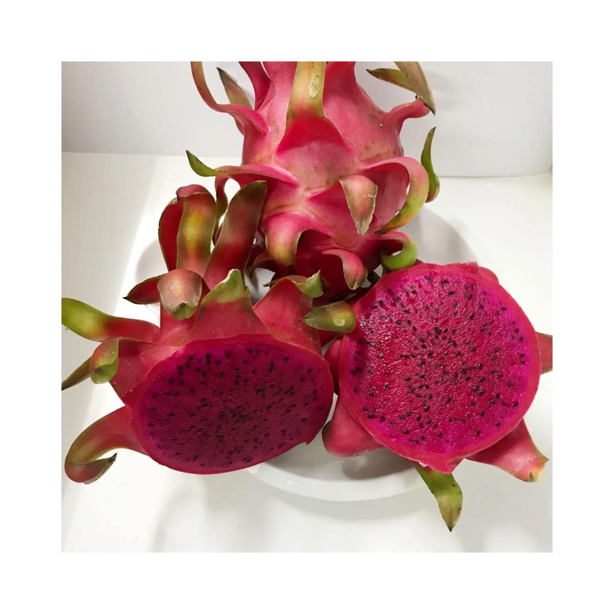 Fresh Dragon Fruit Red and White Dragon From FARM Origin Vietnam Best Price For Export  Top Supplier Fresh Fruits And Vegetables