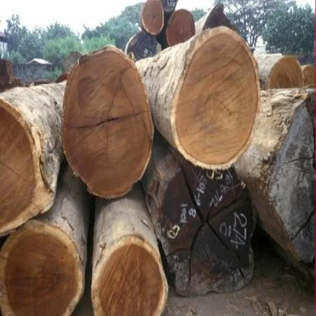 Pyinkado Wood Logs Original From Laos Cheap Price