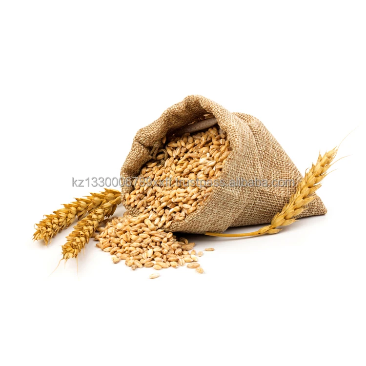 Wheat grain ecological product of Kazakhstan 3 grades available great quality wheat for sale