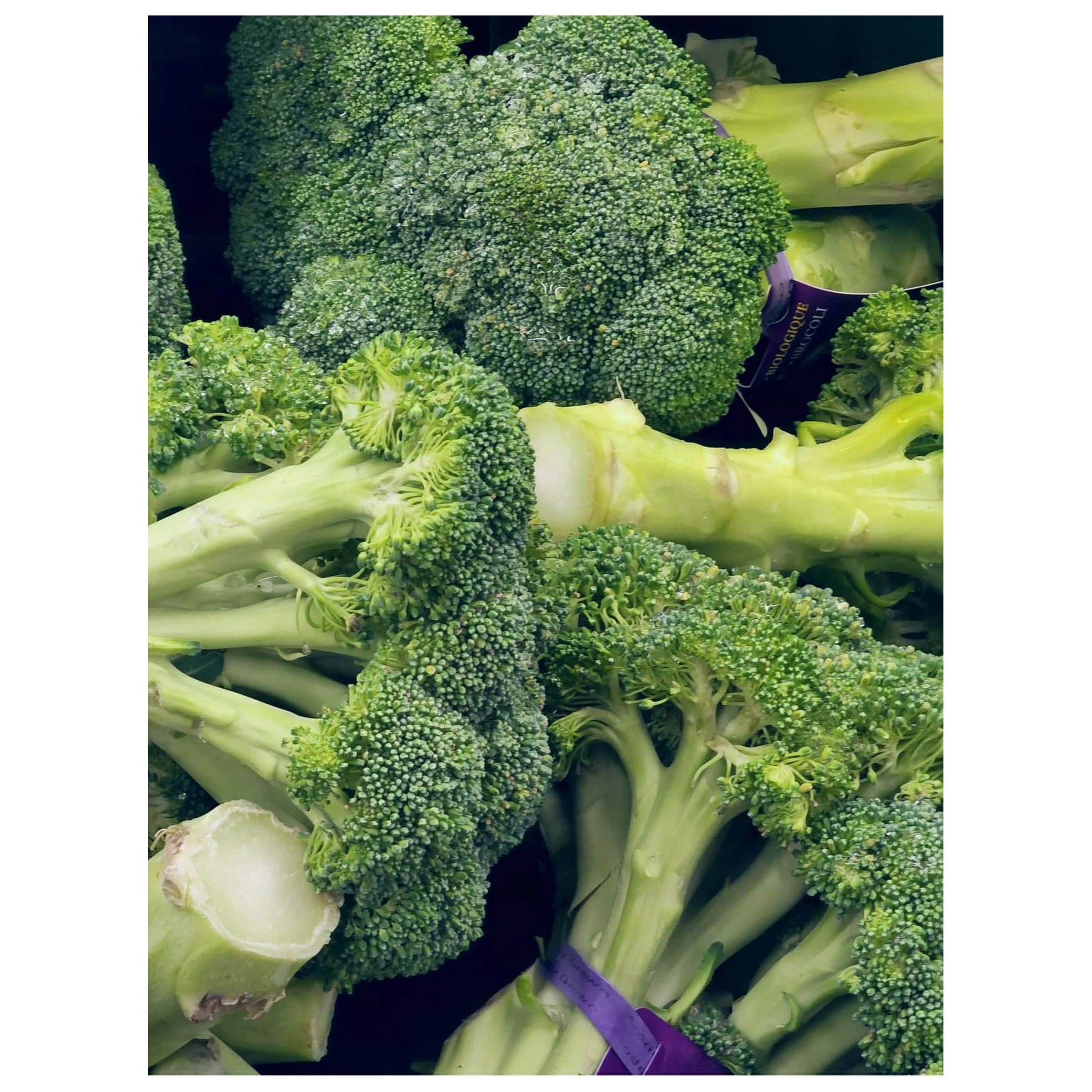 New Season Bulk IQF Frozen Green Fresh Broccoli Low Price Vegetable-IQF Broccoli Vegetables Frozen