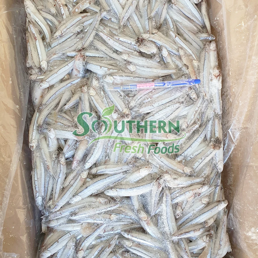 Bulk Sales Sea Fish Size process IQF Wild Caught SFF weight packaging anchovy Frozen Blue Anchovy from Vietnam