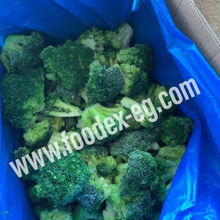 IQF frozen broccoli