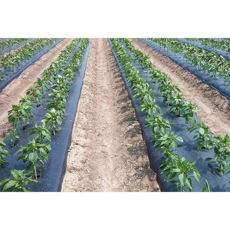 Недорогая черная и серебряная блестящая сельскохозяйственная пленка LDPE 1,2 м x 250 м x 30 мкм, гибкая пластиковая крышка из малайзии