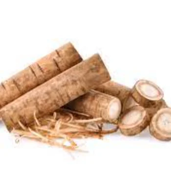 New Crop Fresh Burdock Root Wholesale Price