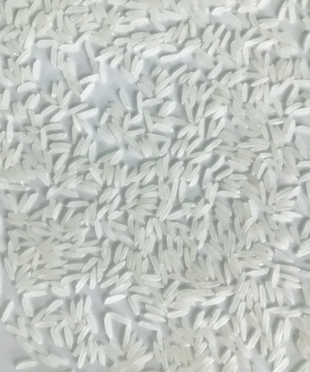 ST25 RICE длиннозерный белый рис доступный эксклюзивным брендом Vilaconic или вашим частным многие индивидуальные агенты по всему