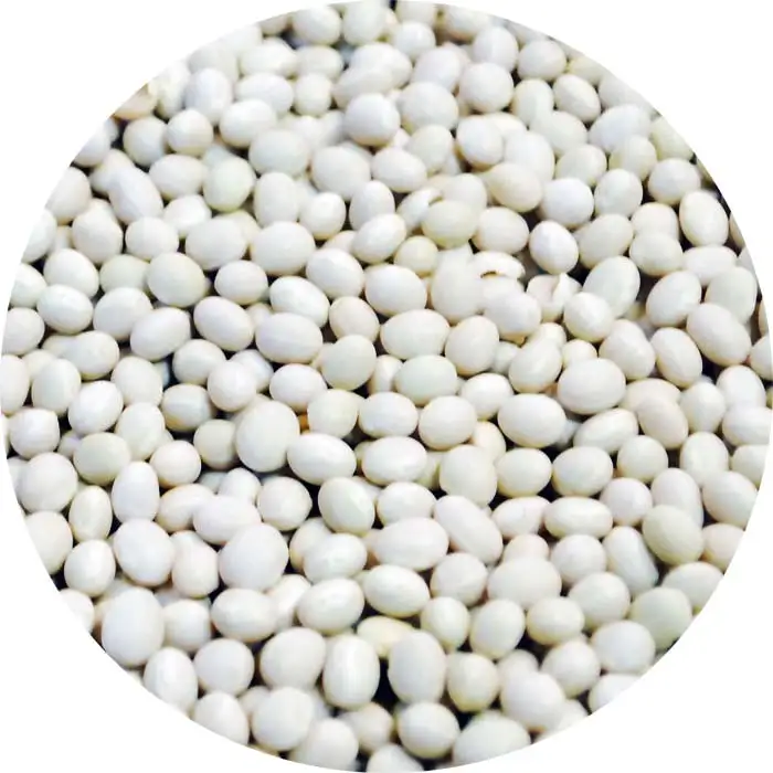 High quality canned food white beans rich in nutrients fiber and vitamin B Tondini Beans 0,4 kg tin