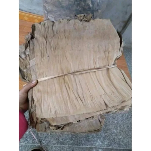 Dried Banana Leaves Banana Leaves Cheap Price Akina