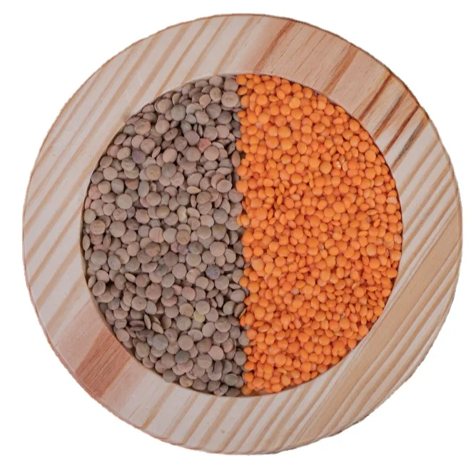 Lentils Red Black Green Split Lentil Dried Origin Turkey Bulk Wholesale Factory Supplier Manufacturer Organic