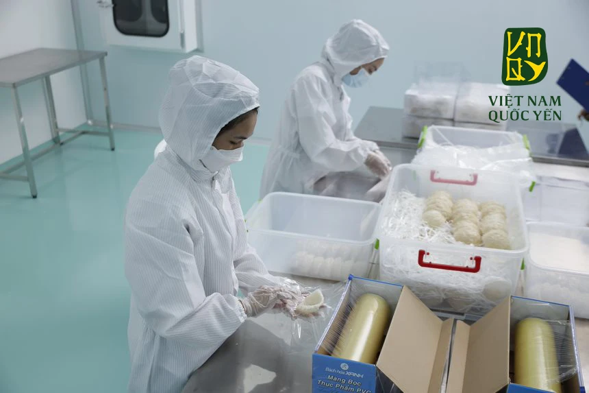 Заводская Профессиональная обработка необработанные натуральные съедобные птичьи гнезда сушеные с завода во Вьетнаме