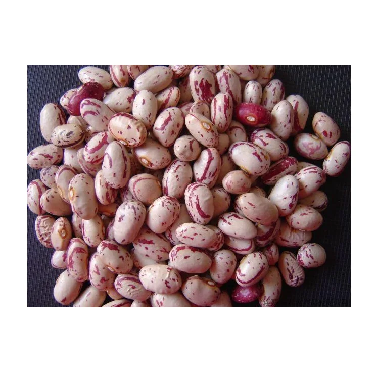 Dried Pinto Bean Best Price Light Speckled Kidney Beans