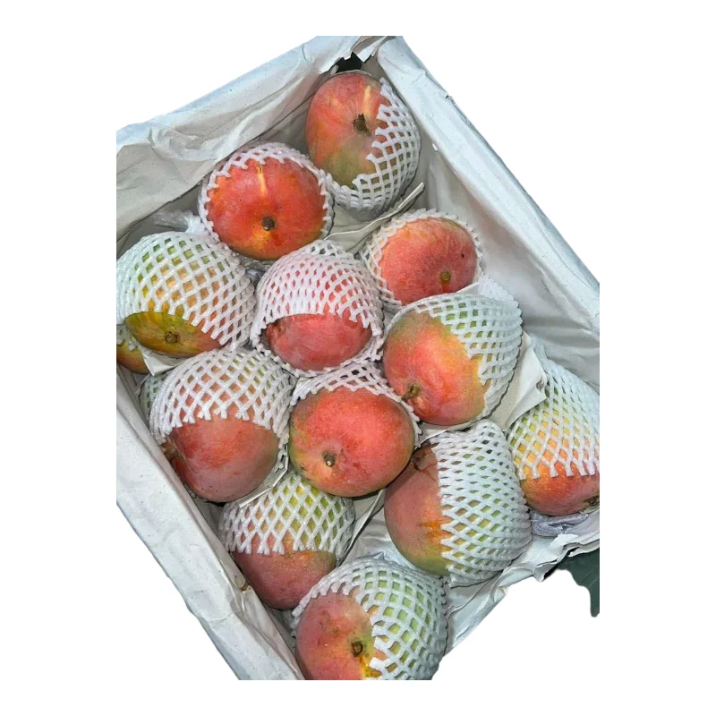 Premium Fresh Mango product