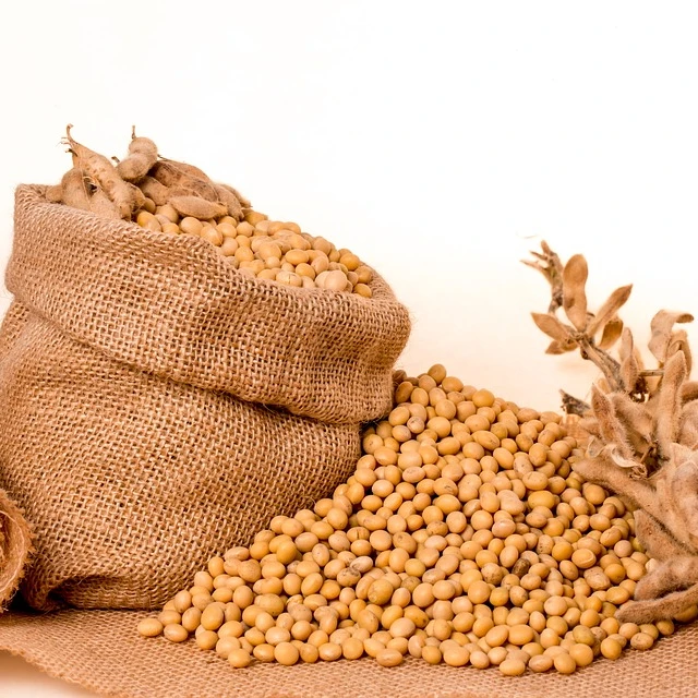 Organic Non-GMO Soybean High Quality Yellow Soybean for Animal Feed Fresh and Dried Direct Bulk Wholesale